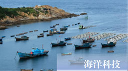 版块